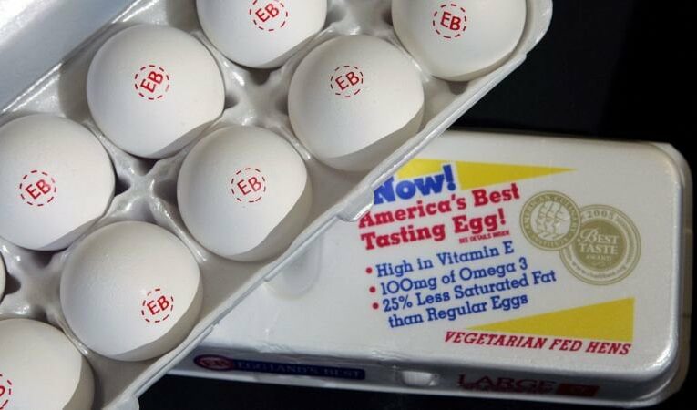 Surging egg prices mean record profits for largest US egg producer | CNN Business