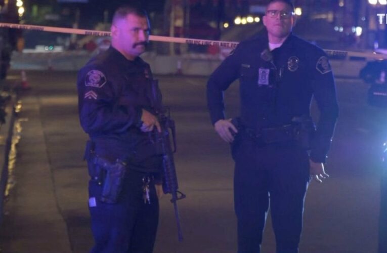 Ten killed in mass shooting in Los Angeles area, police say