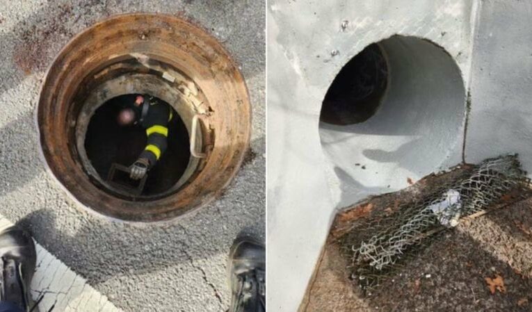 5 kids rescued from Staten Island sewer system after they crawled into a tunnel and got lost