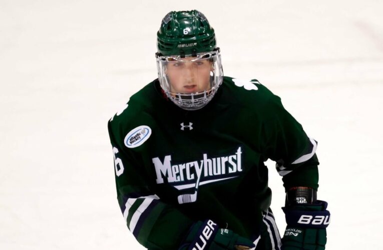 Carson Briere, junior center for the Mercyhurst University men’s hockey team is “deeply sorry” for pushing an unoccupied wheelchair down a flight of stairs, while occupant of wheelchair is in the bathroom